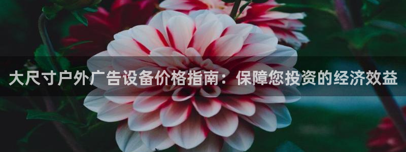 杏宇平台代理怎么赚钱快